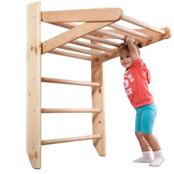 Climbing frame 240-2 with Rope set and Slide Plus - 3
