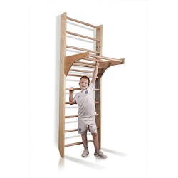   Climbing frame 240-3 with Rope Set - 6096123674673 - 2